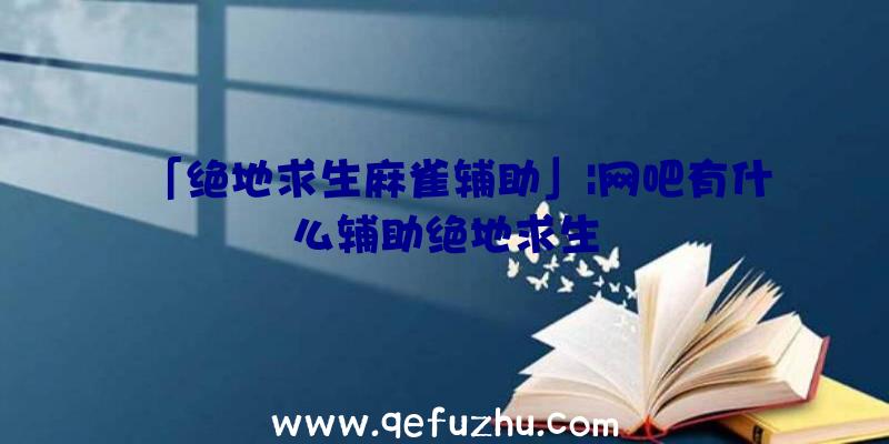 「绝地求生麻雀辅助」|网吧有什么辅助绝地求生